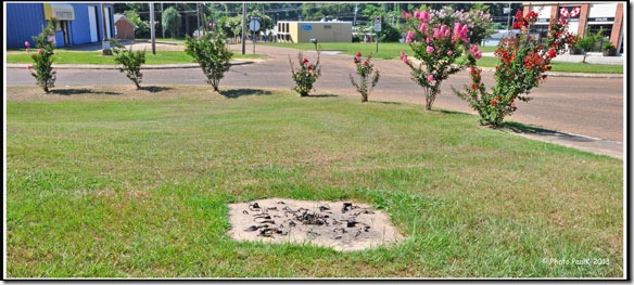 Natchez-Marche-Esclaves-2