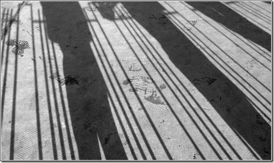 O-Patrimoine-140225-d