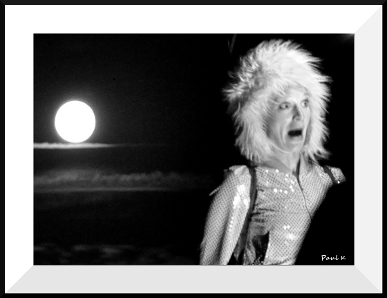 Vent arrière, les marins connaissent ... 