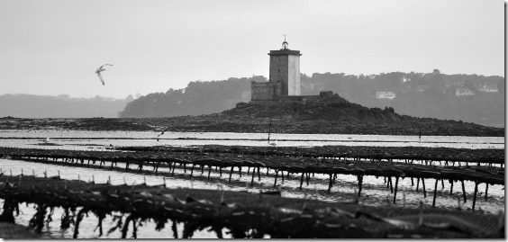 Ile-Noire-20-2-15-NB