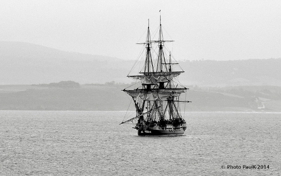 Hermione-Douarnenez