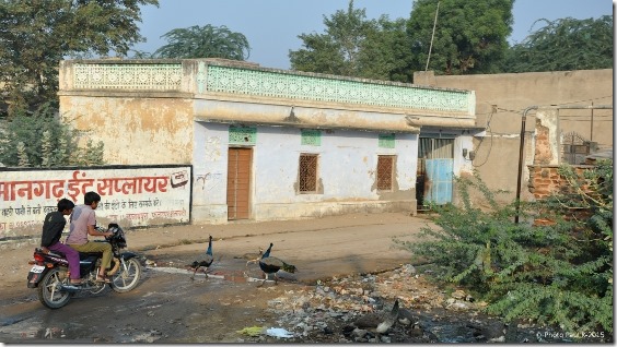 Rte-Madawa-Bikaner-J2 (3)