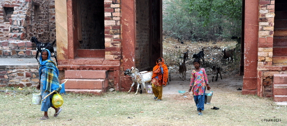 Fatehpur Siki (1)