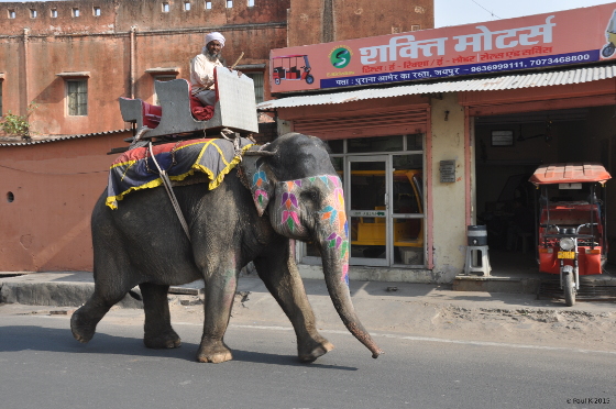 Jaipur-rue-(12)