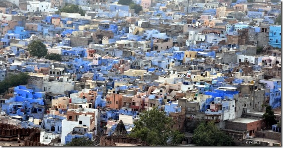 Jodhpur-Bleu-1_thumb.jpg