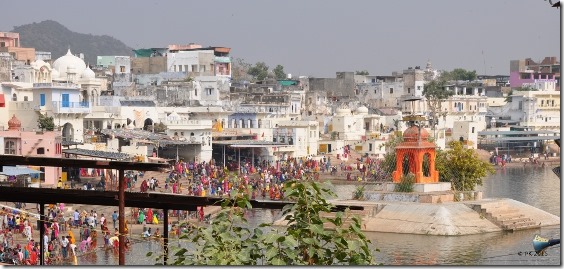Pushkar-16_thumb.jpg