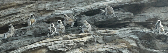 Rte-Puhkar-Jaipur-(21)