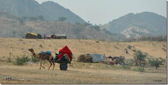 Rte-Pushkar-Jaipur(33)