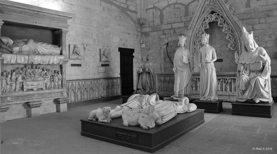 1167-cite-papes-avignon