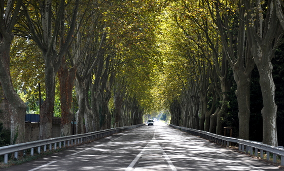 1372-rte-orgon-senas