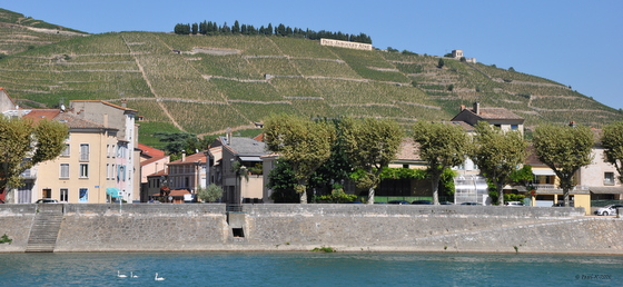 Vignobles de Cotes du Rhône